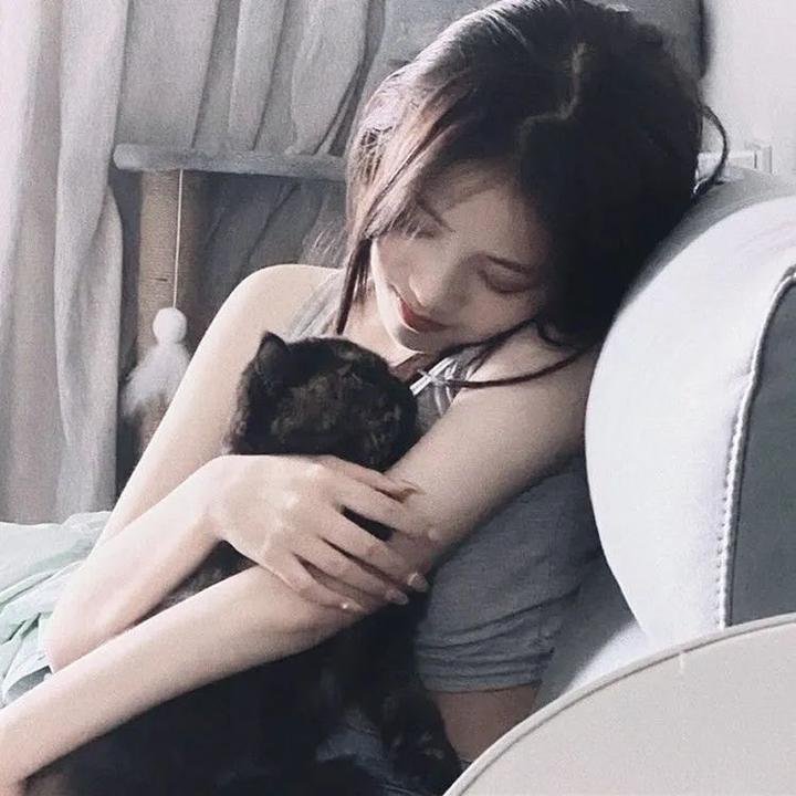 拦截火狐狸 海报